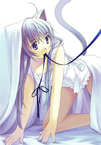 lowres, animal ears, blanket, blue eyes, blue hair, cat ears, cat tail, crawling, long hair, mouth hold, tail, thighhighs