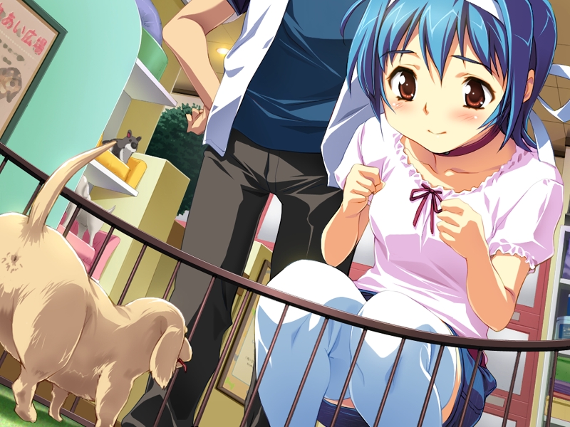 sameda koban, honda yuuna, ai shimai ~docchi ni suruno!!~, game cg, 1boy, 1girl, anus, baby animal, blue hair, blush, brown eyes, choker, dog, hair ribbon, hairband, kneeling, puppy, ribbon, short hair, skirt, smile, solo focus, squatting, thighhighs, tongue, tongue out, white thighhighs