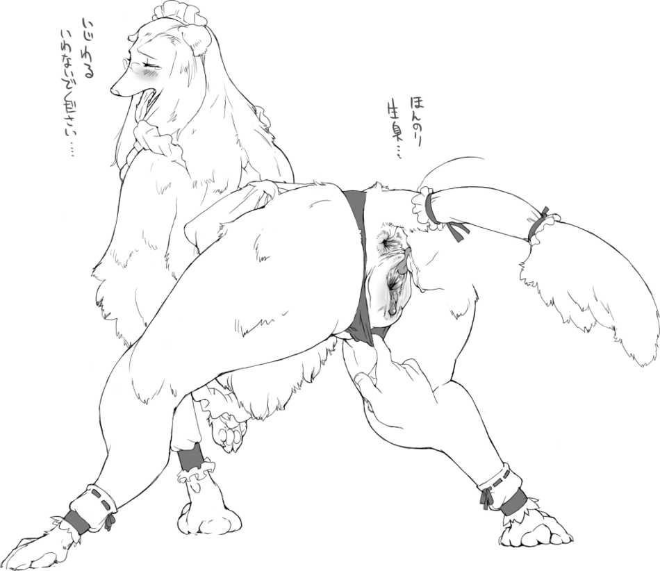 nezunezu, translated, 1girl, anus, ass, cunnilingus, dog, furry, glasses, maid, monochrome, oral, pussy, simple background, text focus, tongue, white background