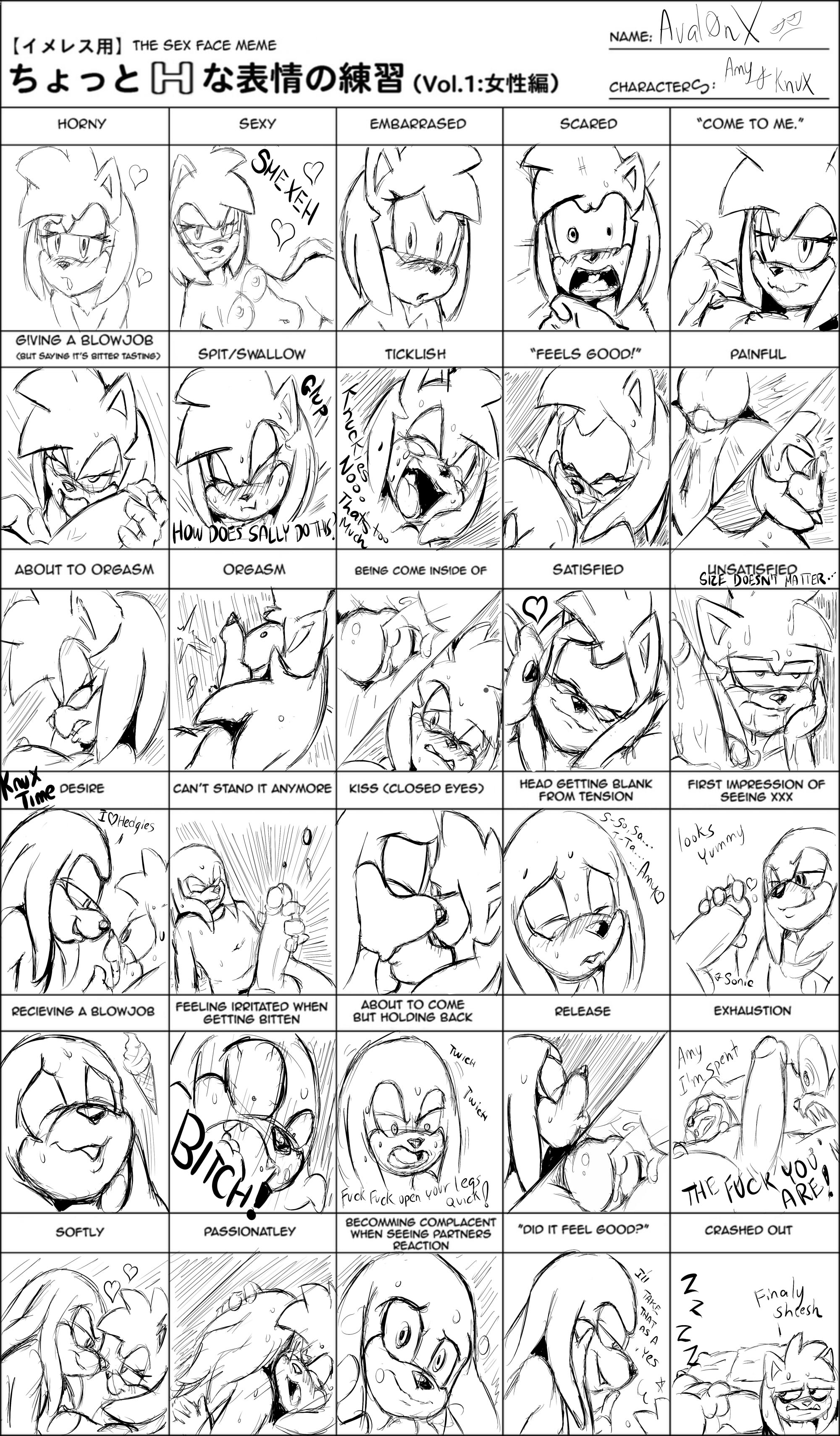 Rule34 – If it exists, there is porn of it / aval0nx, amy rose, knuckles the echidna / 235466