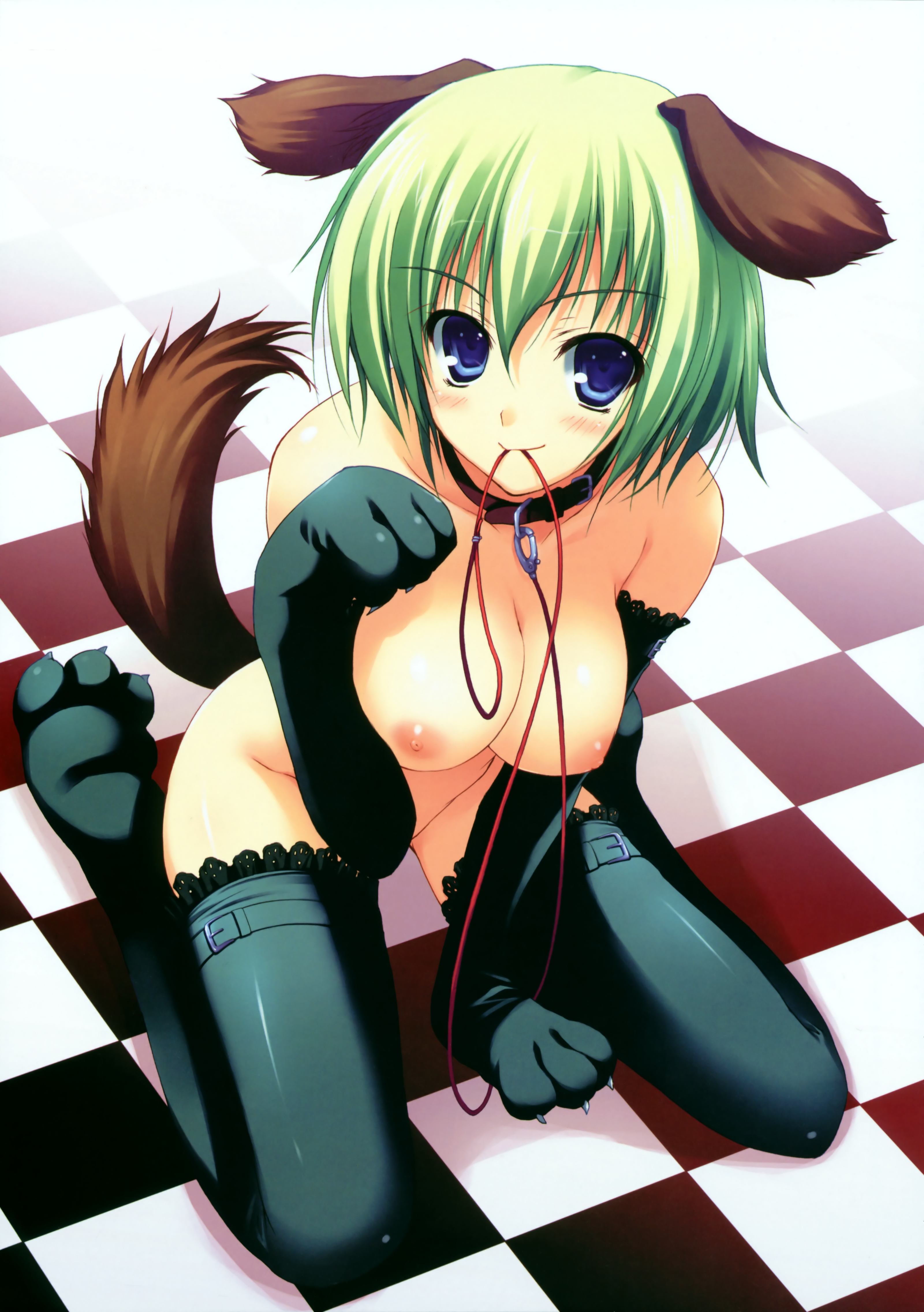 tomose shunsaku, original, absurdres, highres, 1girl, animal ears, animal hands, blue eyes, blush, breasts, collar, dog ears, dog tail, elbow gloves, female focus, gloves, green hair, kneeling, large breasts, leash, mouth hold, nipples, no bra, no panties, paw gloves, paw shoes, shoes, short hair, smile, solo, tail, thighhighs