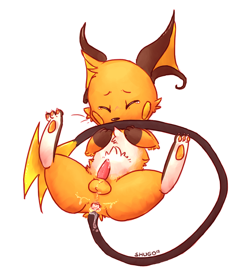 Rule34 – If it exists, there is porn of it / shugowah, raichu / 236230