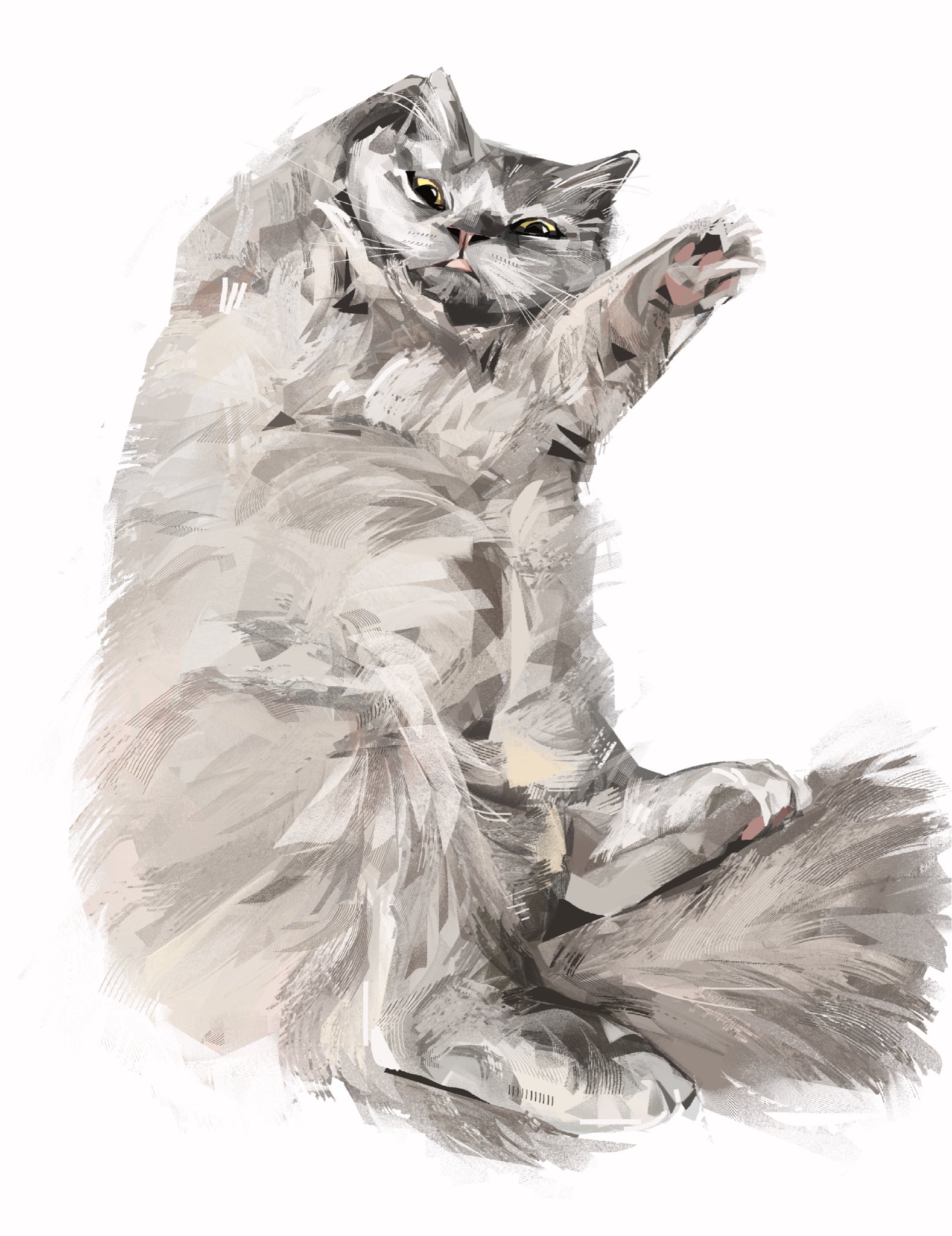 junbuug, original, commentary, english commentary, highres, animal, animal focus, cat, full body, grey cat, looking at viewer, lying, no humans, on back, simple background, solo, white background