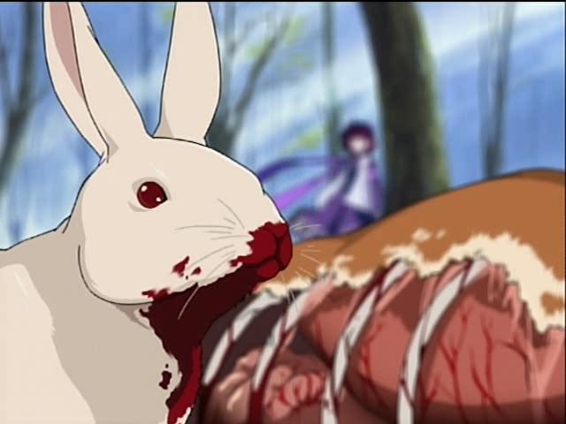 source request, third-party edit, blood, forest, guro, nature, organs, rabbit, rabbit of caerbannog, tree, what