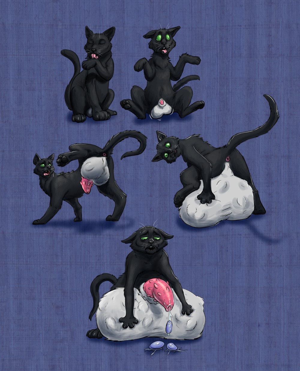 Rule34 – If it exists, there is porn of it / amethystlongcat / 236936