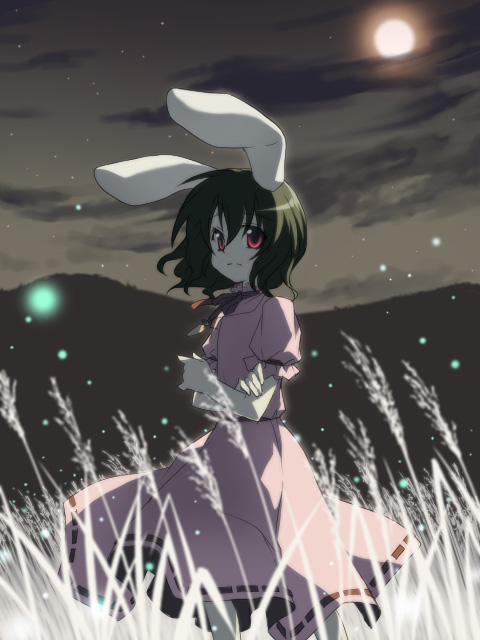 onemu, inaba tewi, touhou, bad id, bad pixiv id, 1girl, animal ears, anime coloring, black hair, brown hair, cloud, crossed arms, dress, female focus, field, fireflies, full moon, moon, moonlight, night, night sky, rabbit ears, red eyes, short hair, sky, solo, wind
