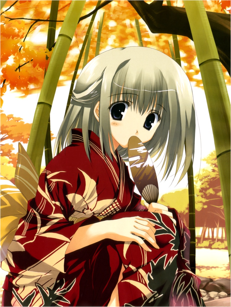 mitsumi misato, 1girl, bamboo, bamboo forest, black eyes, blush, female focus, forest, japanese clothes, nature, solo, white hair