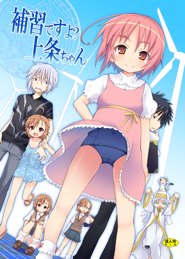 kishiri toworu, miyao ryuu, accelerator (toaru majutsu no index), index (toaru majutsu no index), kamijou touma, last order (toaru majutsu no index), misaka imouto, misaka mikoto, sphinx (toaru majutsu no index), tsukuyomi komoe, toaru majutsu no index, toaru majutsu no index: old testament, brown footwear, silver hair, 00s, 2boys, 5girls, animal, aqua eyes, black hair, brown eyes, brown hair, calico (pattern), calico cat, cameltoe, cat, child, clothes lift, dress, dress lift, flat chest, hair ornament, hairband, laughing, loafers, long sleeves, looking at viewer, miniskirt, multiple boys, multiple girls, one-piece swimsuit, panties, pantyshot, pink hair, pleated skirt, red eyes, sandals, school swimsuit, school uniform, shoes, short hair, sitting, skirt, skirt lift, smile, socks, striped clothes, striped panties, sweat, swimsuit, swimsuit under clothes, underwear, wind, wind lift, windmill