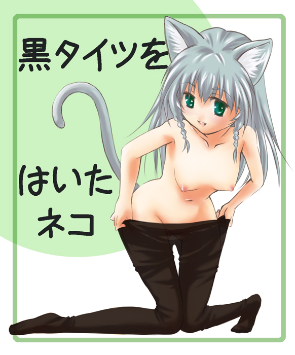kawagoe pochi, original, bad id, bad pixiv id, translation request, 1girl, animal ears, breasts, cat ears, cat tail, female focus, green eyes, grey hair, medium breasts, narrow waist, nipples, no panties, pantyhose, solo, tail, thigh gap, thighs, topless female