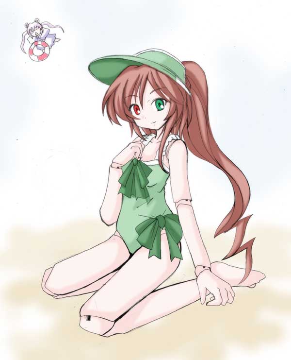 suiseiseki, rozen maiden, tagme, 00s, brown hair, doll, doll joints, hat, joints, long hair, swimsuit