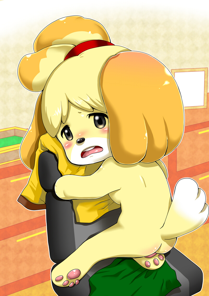 Rule34 – If it exists, there is porn of it / isabelle (animal crossing) / 237942