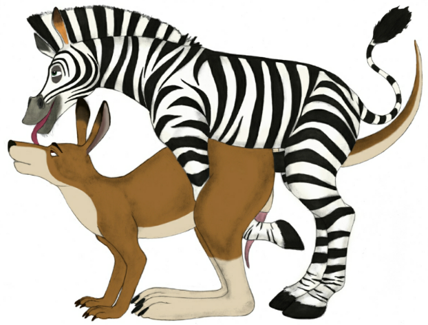 Rule34 – If it exists, there is porn of it / joey, marty the zebra / 238106