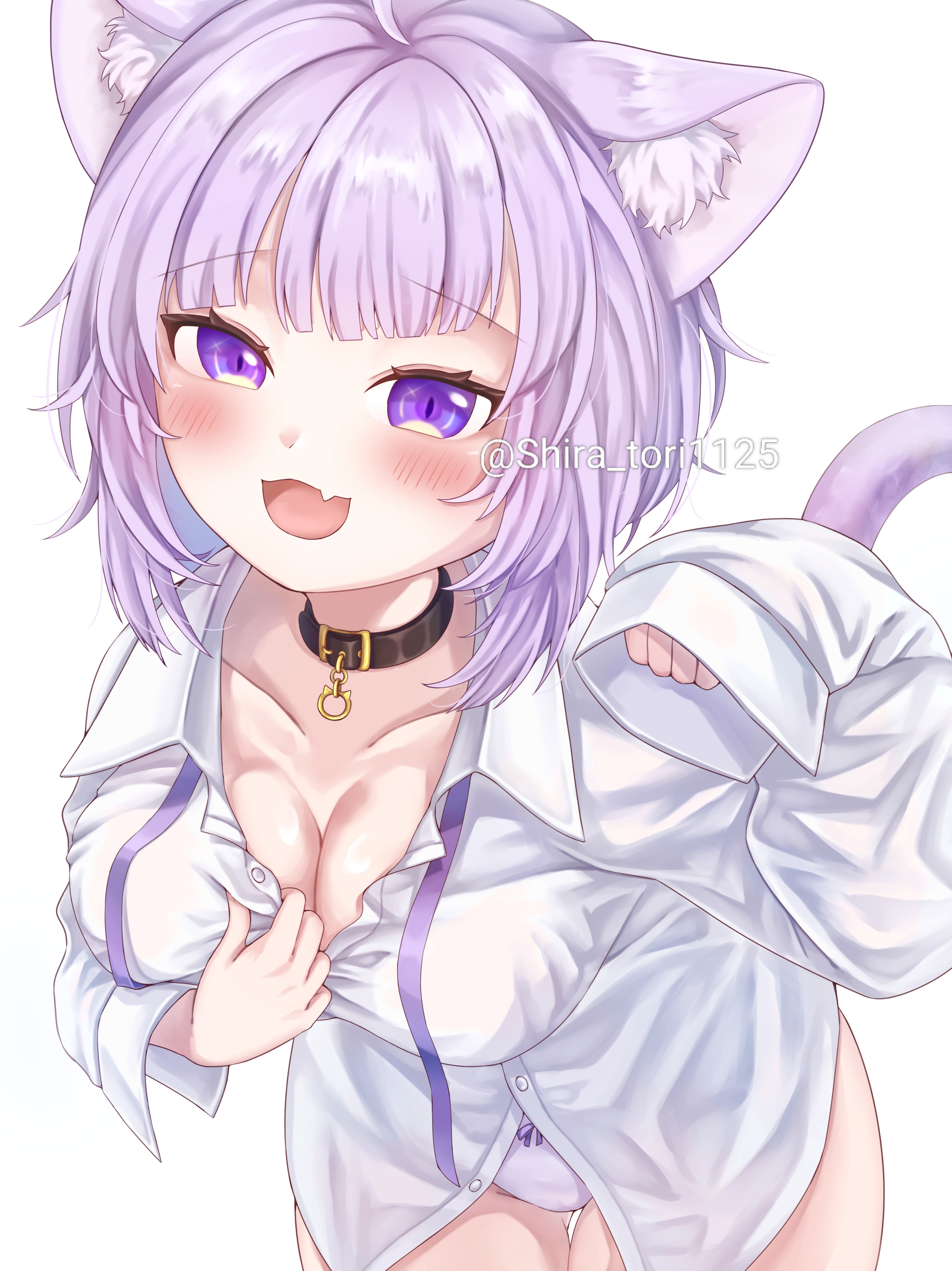 nekomata okayu, nekomata okayu (oversized shirt), hololive, absurdres, highres, 1girl, :3, :d, ahoge, animal ears, black collar, blush, breasts, cat ears, cat girl, cat tail, cleavage, collar, fang, large breasts, long hair, medium hair, neck ribbon, open mouth, panties, purple eyes, purple hair, purple ribbon, ribbon, shiratori (atfs8447), shirt, skin fang, sleeves past wrists, smile, solo, tail, underwear, virtual youtuber, white panties, white shirt