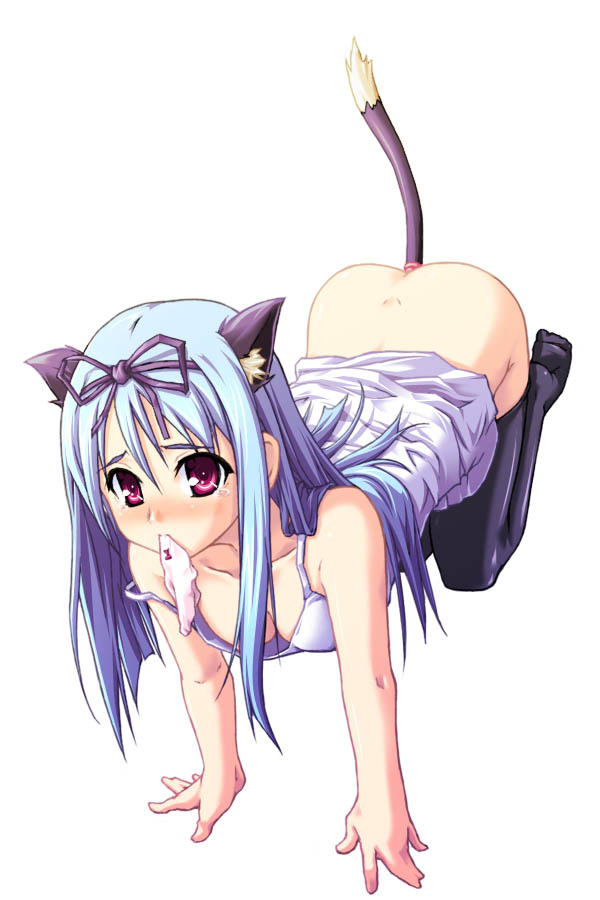 aliceteru resuderu, koyoi mo meshimase alicetale, 1girl, all fours, anal, anal beads, anal tail, animal ears, aqua eyes, bent over, black thighhighs, blue hair, blush, bottomless, bow, bow panties, breasts, butt plug, camisole, cat ears, cat tail, cleavage, dimples of venus, downblouse, fake tail, female focus, hair ribbon, large breasts, long hair, looking at viewer, mouth hold, no bra, object insertion, panties, panties in mouth, pink eyes, red eyes, ribbon, sex toy, simple background, solo, strap slip, tail, tears, thighhighs, underwear