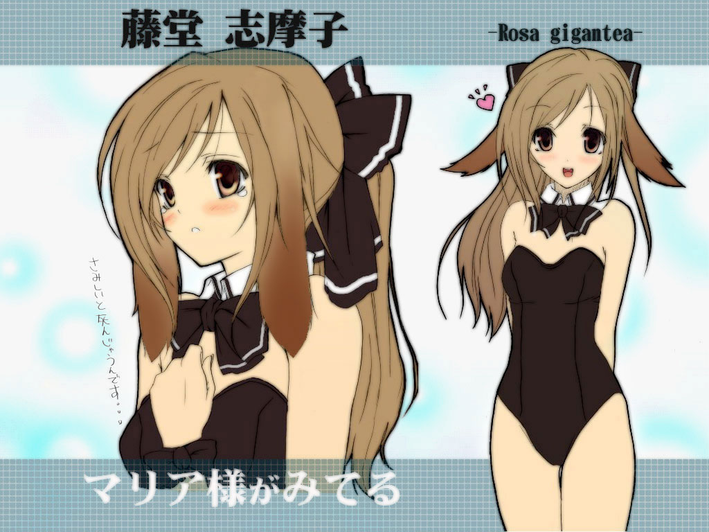 toudou shimako, maria-sama ga miteru, non-web source, translation request, 00s, 1girl, animal ears, bare legs, bow, bowtie, brown eyes, brown hair, collar, detached collar, fake animal ears, heart, long hair, playboy bunny, ponytail, rabbit ears, tears