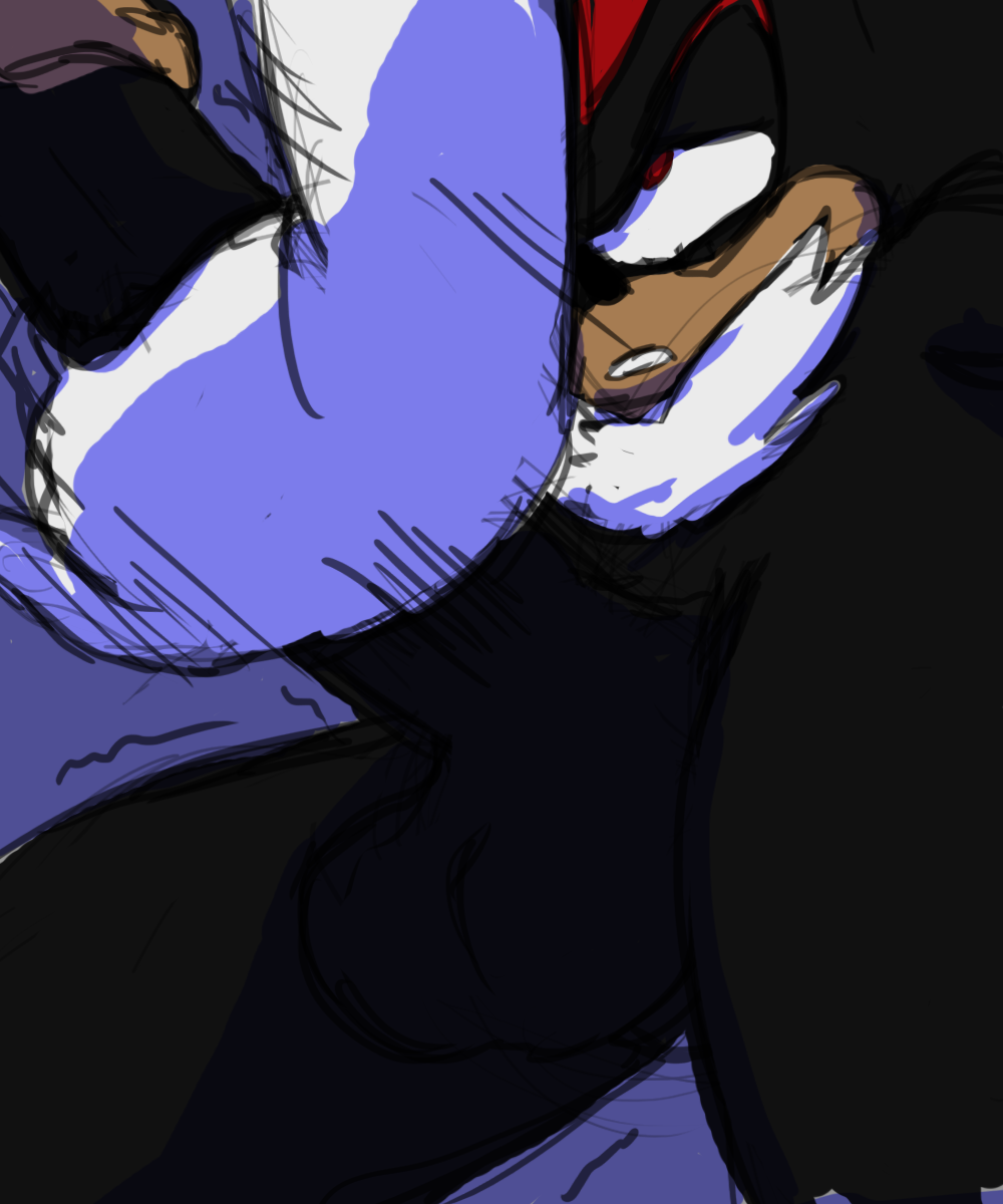 Rule34 – If it exists, there is porn of it / blueast, shadow the hedgehog / 238997