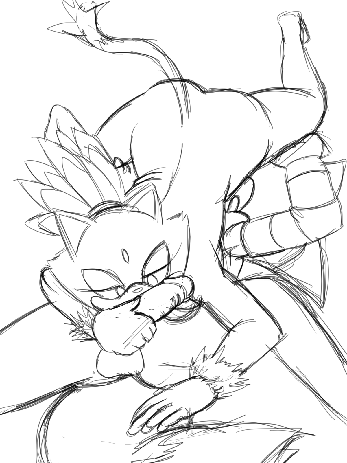 Rule34 – If it exists, there is porn of it / blueast, blaze the cat, shadow the hedgehog / 239004
