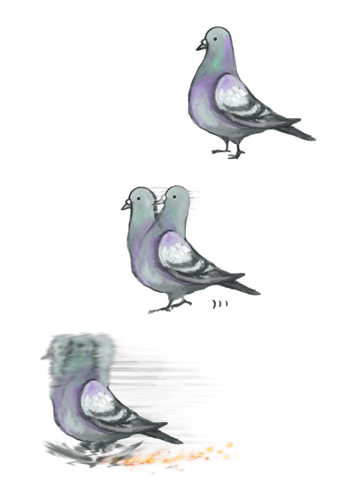 noja, animal, bird, fire, motion blur, no humans, pigeon, running, simple background, white background