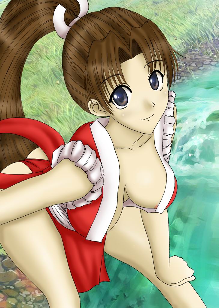 seraphina, shiranui mai, fatal fury, the king of fighters, vector trace, brown hair, ponytail