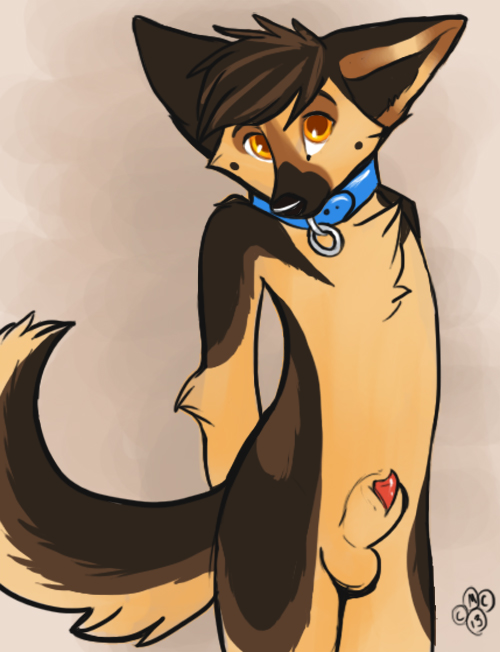 Rule34 – If it exists, there is porn of it / blondefoxy / 239295