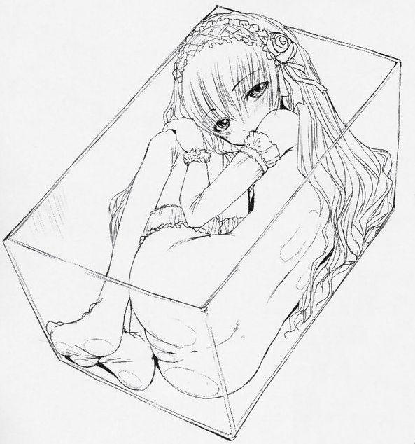 suigintou, rozen maiden, 00s, 1girl, anus, ass, box, feet, female focus, flower, full body, monochrome, nude, plant, pussy, sketch, solo, sweat, uncensored