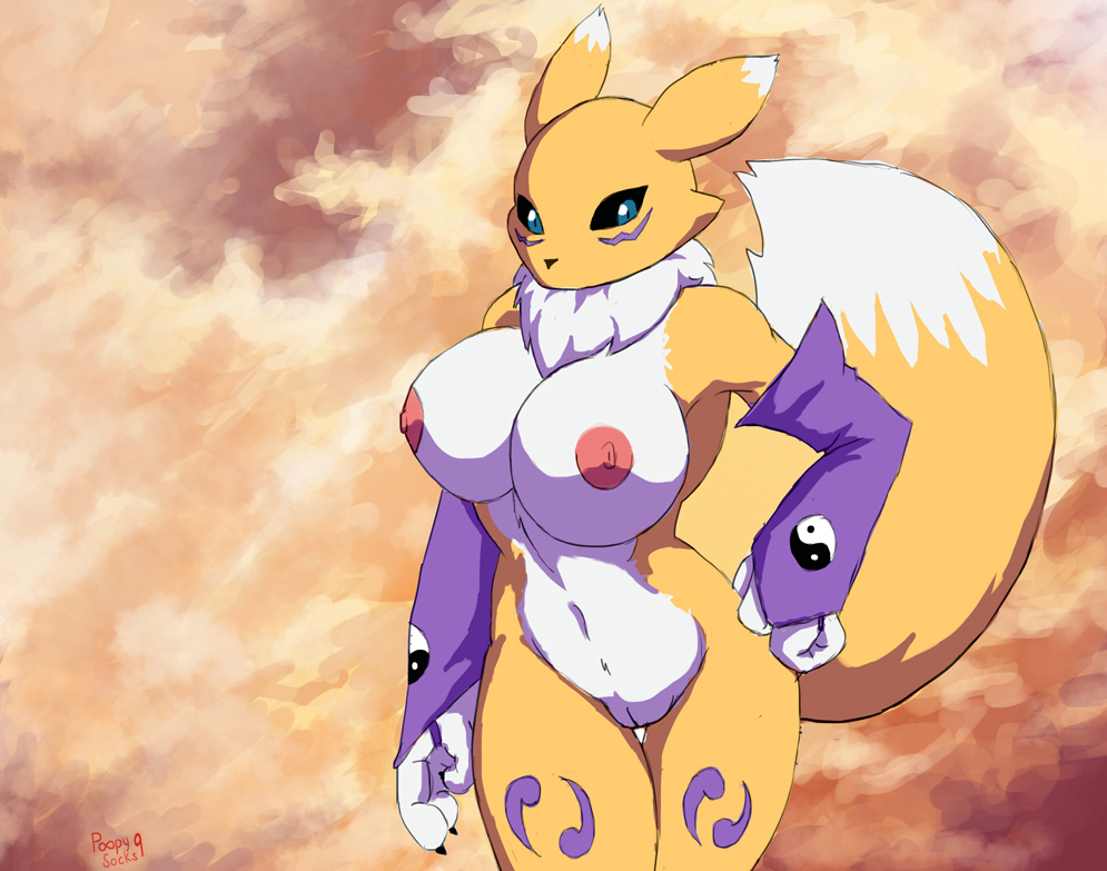 Rule34 – If it exists, there is porn of it / poopysocks9, renamon / 239950