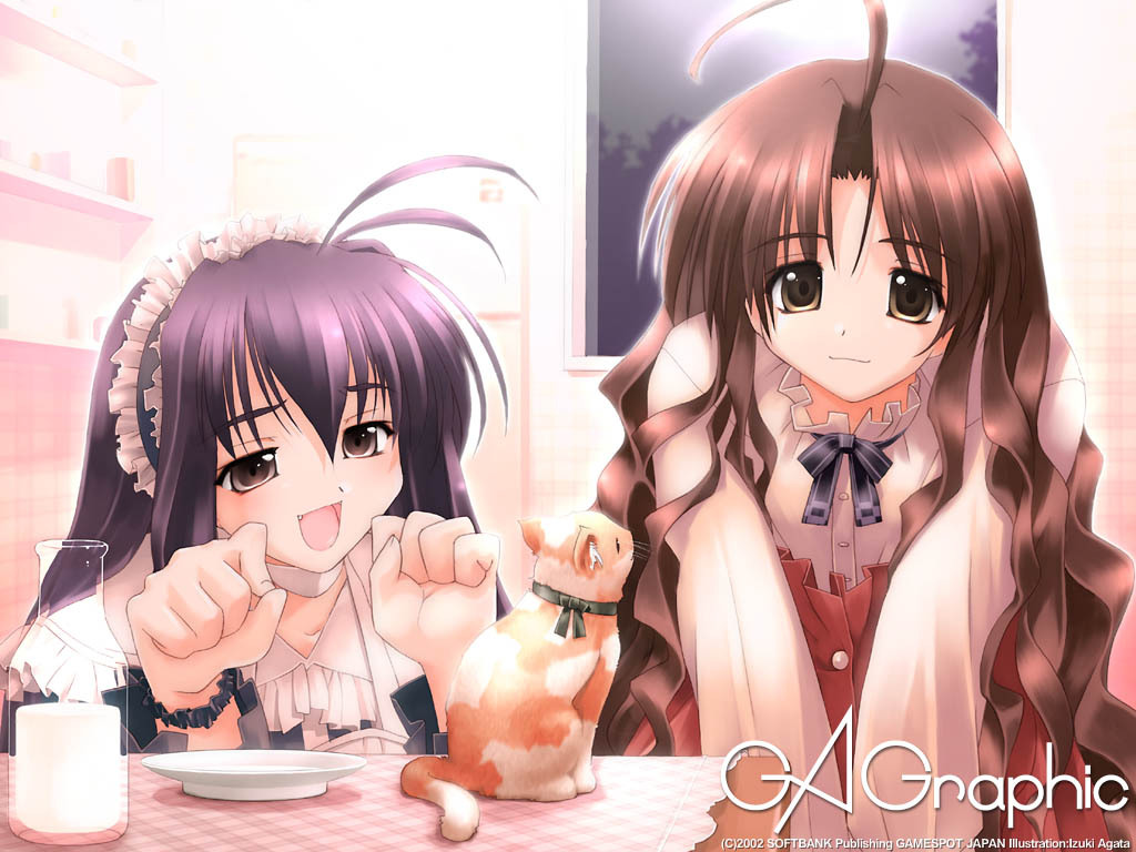 2girls, baby animal, blush, brown eyes, brown hair, cat, happy, kitten, long hair, maid, milk, multiple girls, purple hair, smile