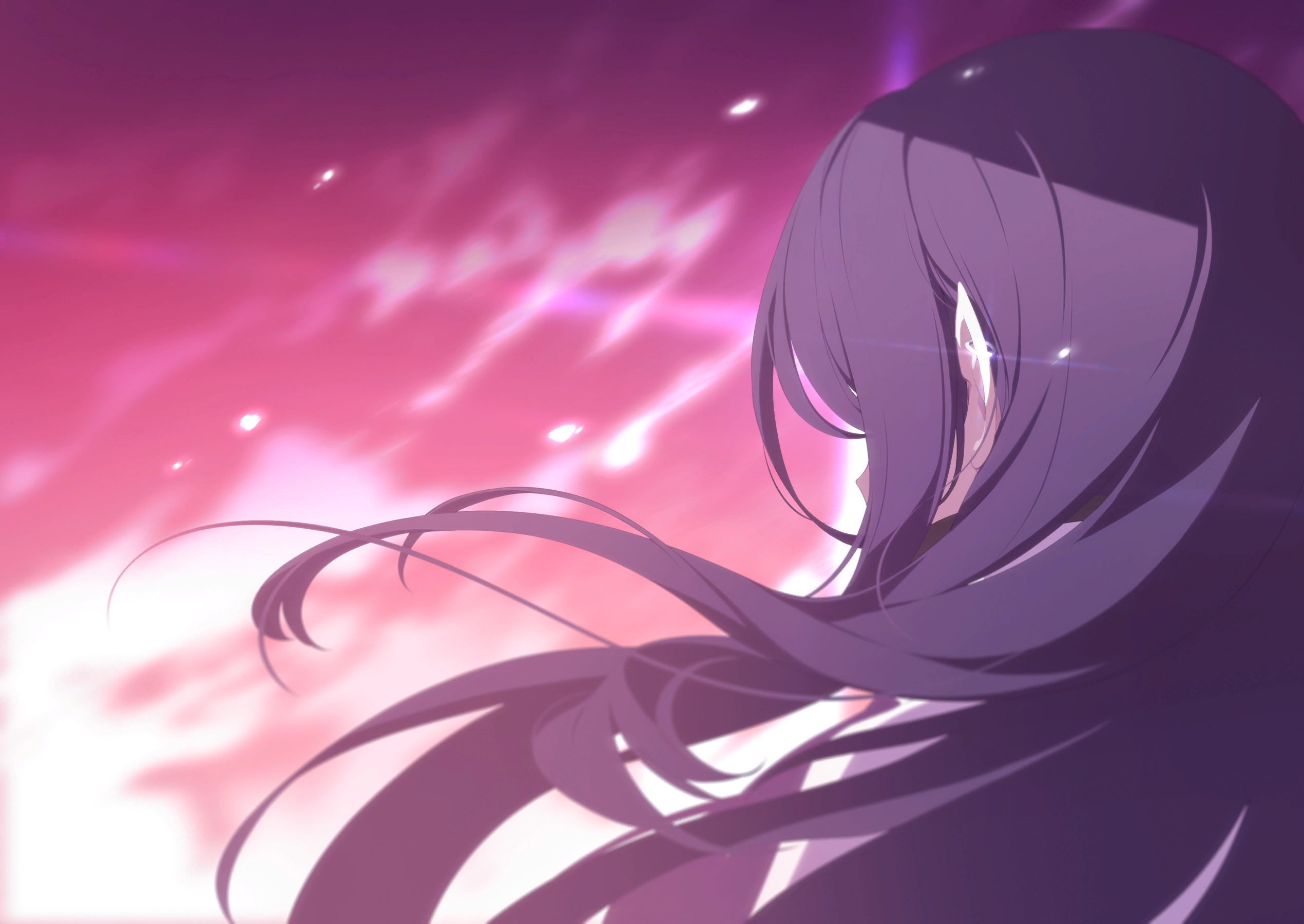 stella sora, character request, game cg, highres, non-web source, official art, 1girl, black hair, cloud, facing away, floating hair, long hair, outdoors, pointy ears, red sky, sky, solo