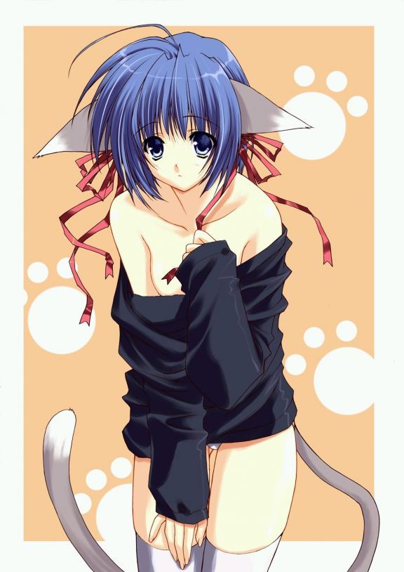 animal ears, blue eyes, breasts, cat ears, cat tail, cleavage, short hair, sweater, tail, thighhighs