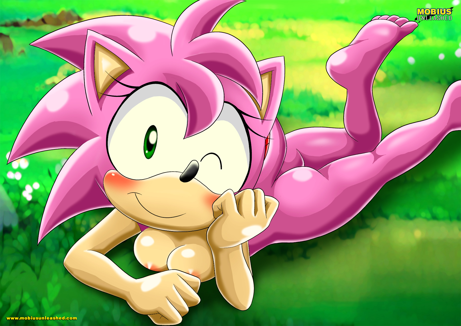 Rule34 – If it exists, there is porn of it / amy rose / 240167