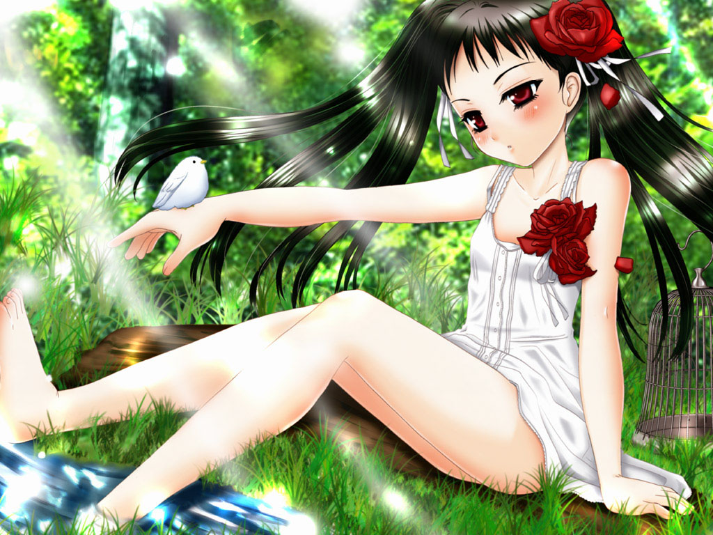 inumori sayaka, jakuri (ar tonelico), ar tonelico, ar tonelico ii, 00s, 1girl, :o, barefoot, bird, bird on hand, birdcage, black hair, blush, cage, dress, dress flower, female focus, flower, grass, light rays, long hair, red eyes, sitting, soaking feet, solo, sunbeam, sunlight, twintails, water