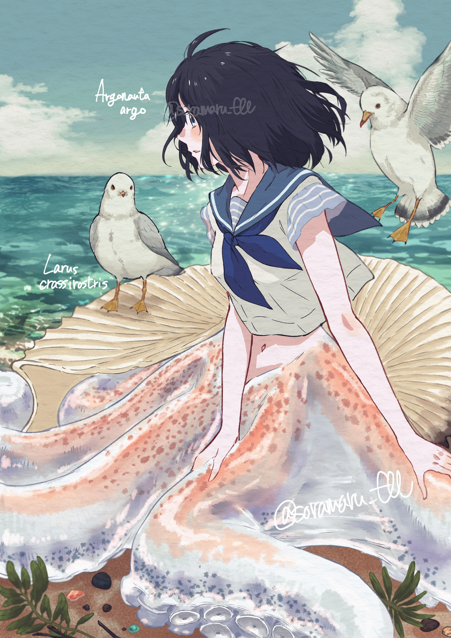 soramaru ell, original, highres, 1girl, 2others, ahoge, back hair, beach, bird, blue eyes, blue sailor collar, cloud, cloudy sky, day, english text, hand on own tentacles, horizon, looking to the side, monster girl, multiple others, navel, neckerchief, ocean, outdoors, paper texture, sailor collar, sailor shirt, scientific name, seabird, seagull, shell, shirt, short hair, sitting, sky, solo focus, suction tentacles, tentacles, water