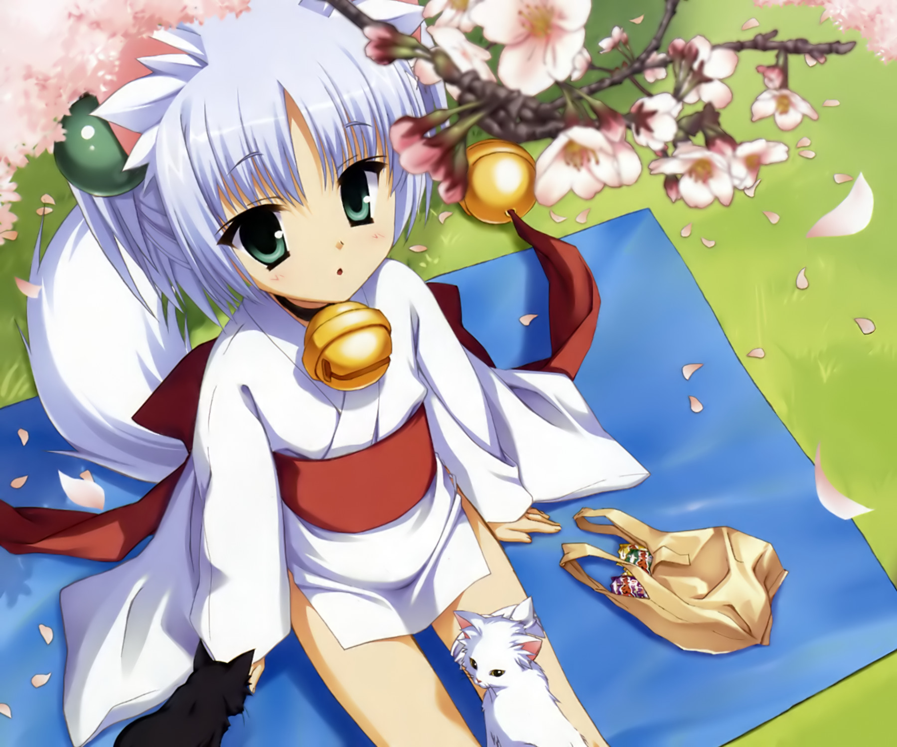 muririn, rindou ruri, tenshinranman, highres, 1girl, animal ears, bag, bell, blue hair, blurry, cat, cherry blossoms, child, depth of field, female focus, flower, from above, green eyes, grocery bag, japanese clothes, neck bell, petals, shopping bag, short hair, sitting, solo, tail
