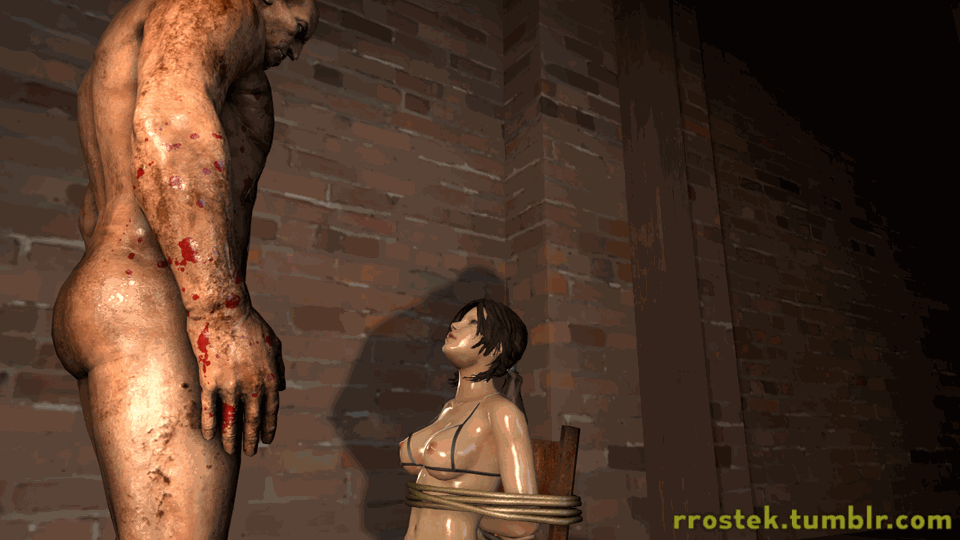 Rule34 – If it exists, there is porn of it / rrostek, lara croft / 241559