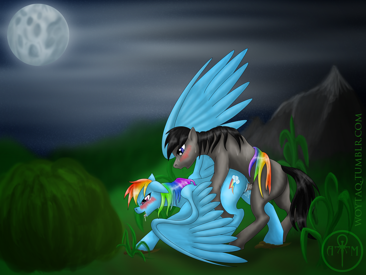 Rule34 – If it exists, there is porn of it / adalbertus, rainbow dash (mlp) / 241611