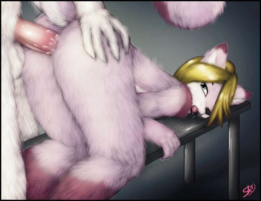 Rule34 – If it exists, there is porn of it / sarki / 242059