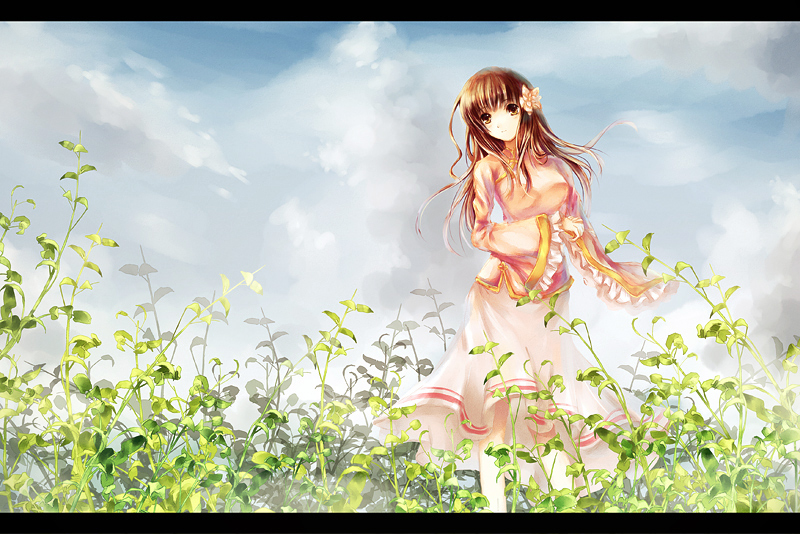 vienri, taiwan (hetalia), axis powers hetalia, 00s, 1girl, ahoge, brown eyes, brown hair, changpao, chinese clothes, day, female focus, field, flower, frills, hair flower, hair ornament, letterboxed, long hair, long sleeves, nature, outdoors, skirt, sky, sleeves past wrists, solo