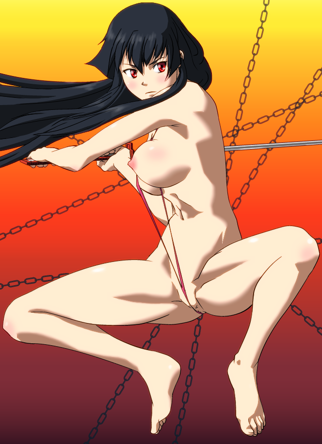 Rule34 – If it exists, there is porn of it / artist request, akame (akame ga kill!) / 242402