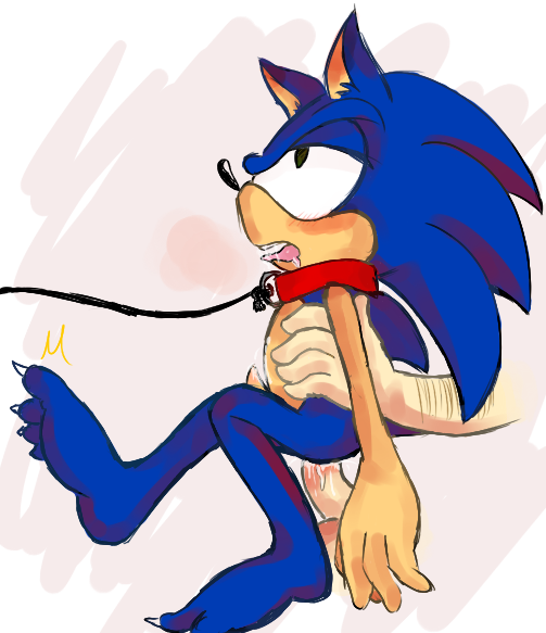 Rule34 – If it exists, there is porn of it / sonic the hedgehog / 242621