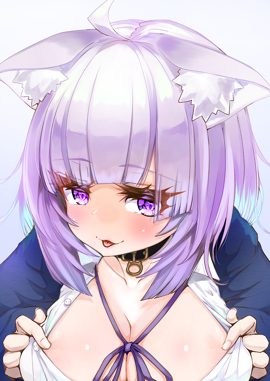 kajimakoto, nekomata okayu, nekomata okayu (oversized shirt), hololive, highres, 1girl, ahoge, animal ear fluff, animal ears, belt collar, black cardigan, black collar, blush, breasts, cardigan, cat ears, cat girl, cleavage, collar, collared shirt, large breasts, looking at viewer, medium hair, neck ribbon, official alternate costume, open mouth, purple eyes, purple hair, purple ribbon, ribbon, shirt, smile, solo, virtual youtuber, white shirt