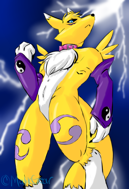 Rule34 – If it exists, there is porn of it / wiskar, lightning, renamon / 242864