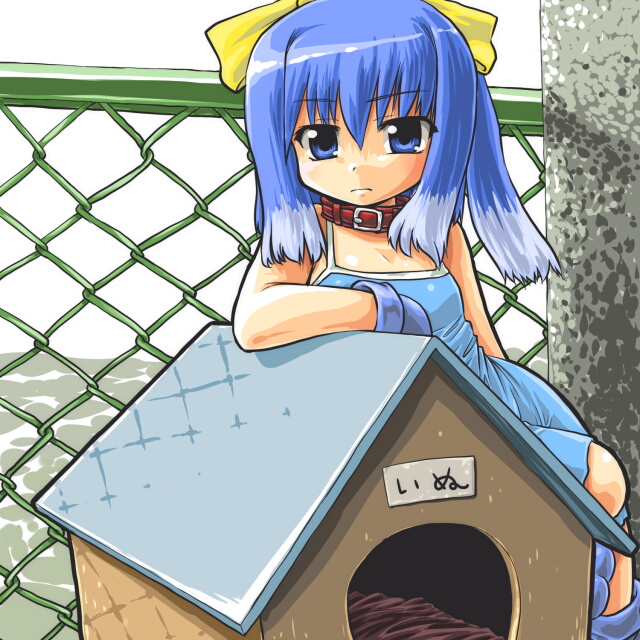 dd (ijigendd), inu-t, nt-tan, os-tan, bad id, bad pixiv id, 1girl, blue eyes, blue hair, bow, collar, female focus, hair ribbon, matching hair/eyes, ribbon, short hair, solo, yellow bow