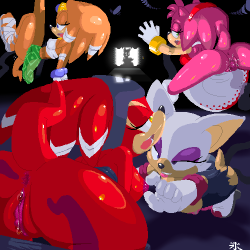 instantsonic, amy rose, rouge the bat, shade the echidna, tikal the echidna, sonic (series), sonic chronicles: the dark brotherhood, lowres, 1boy, 4girls, ass, breasts, furry, multiple girls, pussy, vaginal