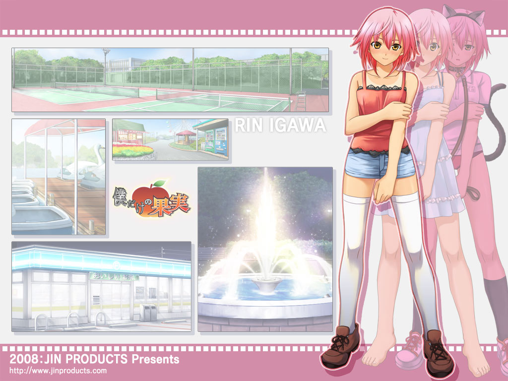 igawa rin, boku dake no kajitsu, animal ears, cat ears, cat tail, collar, leash, pink hair, tail, thighhighs