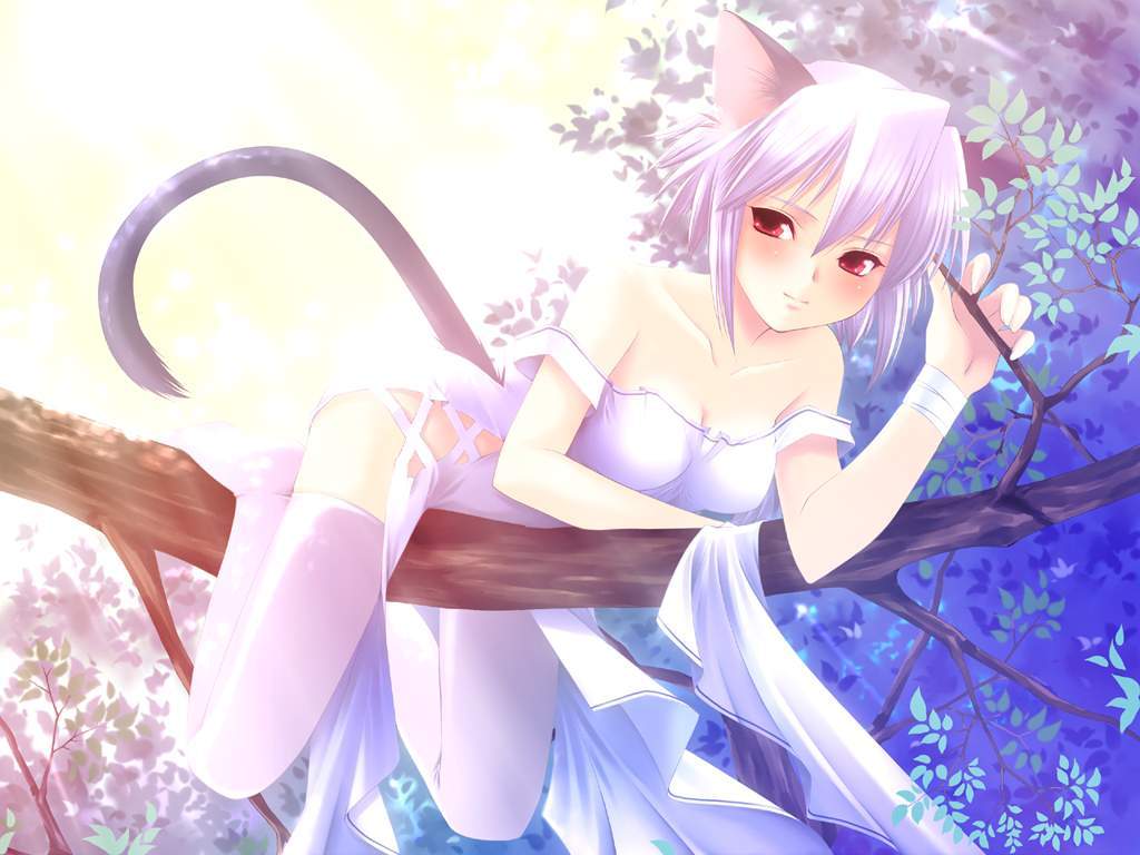 animal ears, blush, branch, breasts, cat ears, cat tail, cleavage, lying, purple hair, red eyes, short hair, tail, thighhighs