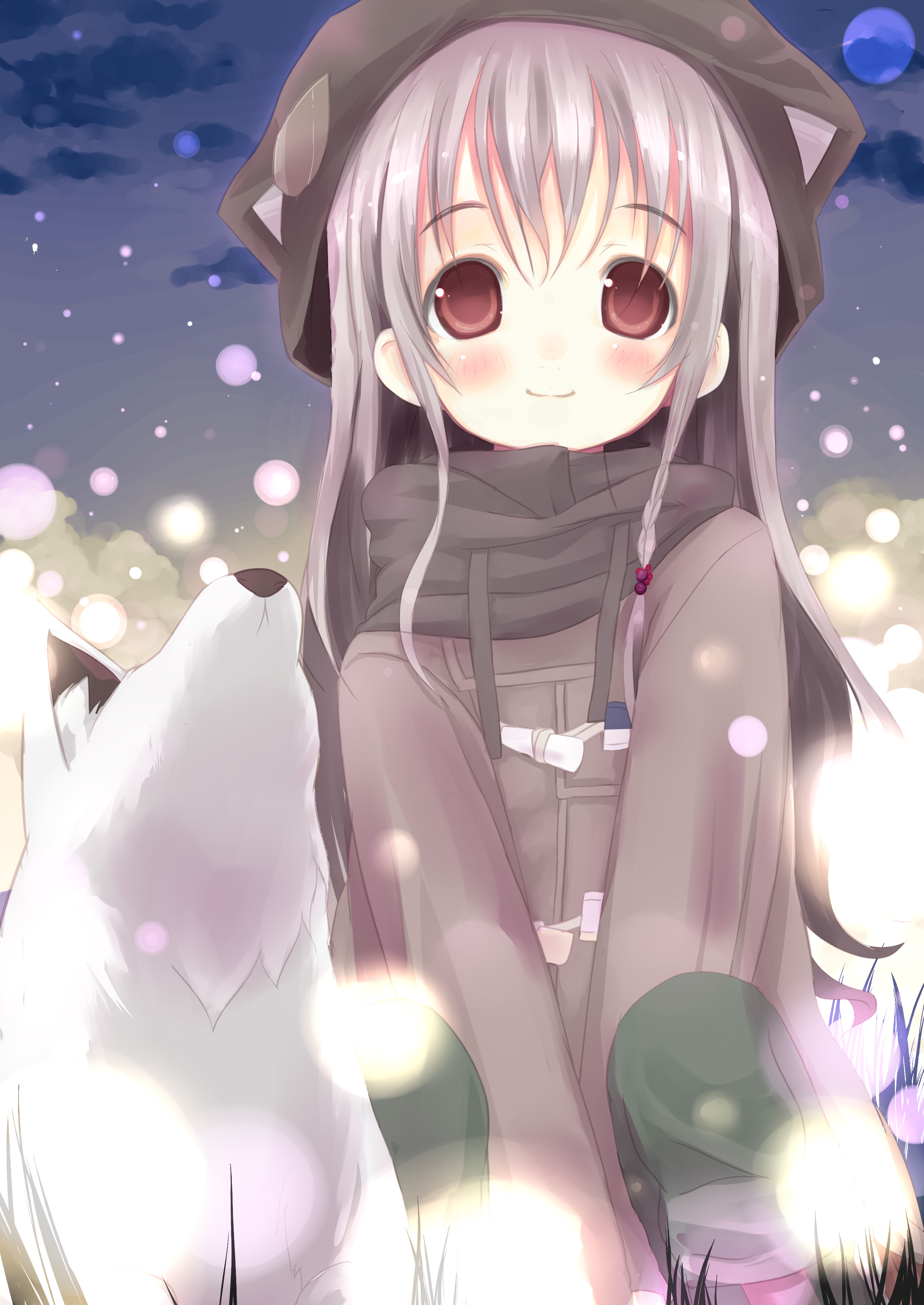 shiro (octet), original, absurdres, highres, 1girl, albino, animal hood, braid, cat hood, coat, dog, duffel coat, hood, night, night sky, pale skin, red eyes, sky, smile, squatting, white hair