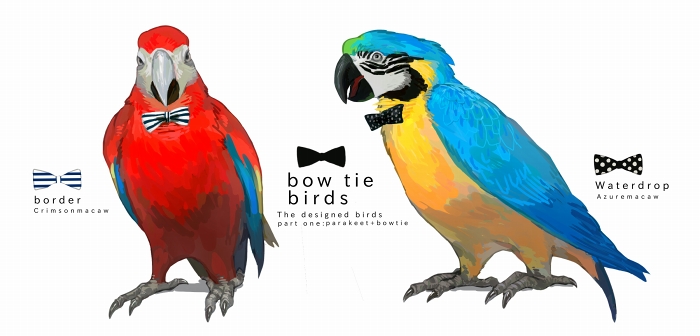 nagabe, original, commentary request, animal, bird, black bow, black bowtie, blue-and-yellow macaw, bow, bowtie, english text, full body, macaw, no humans, parrot, polka dot, polka dot bow, polka dot bowtie, scarlet macaw, simple background, striped bow, striped bowtie, striped clothes, white background, white bow, white bowtie