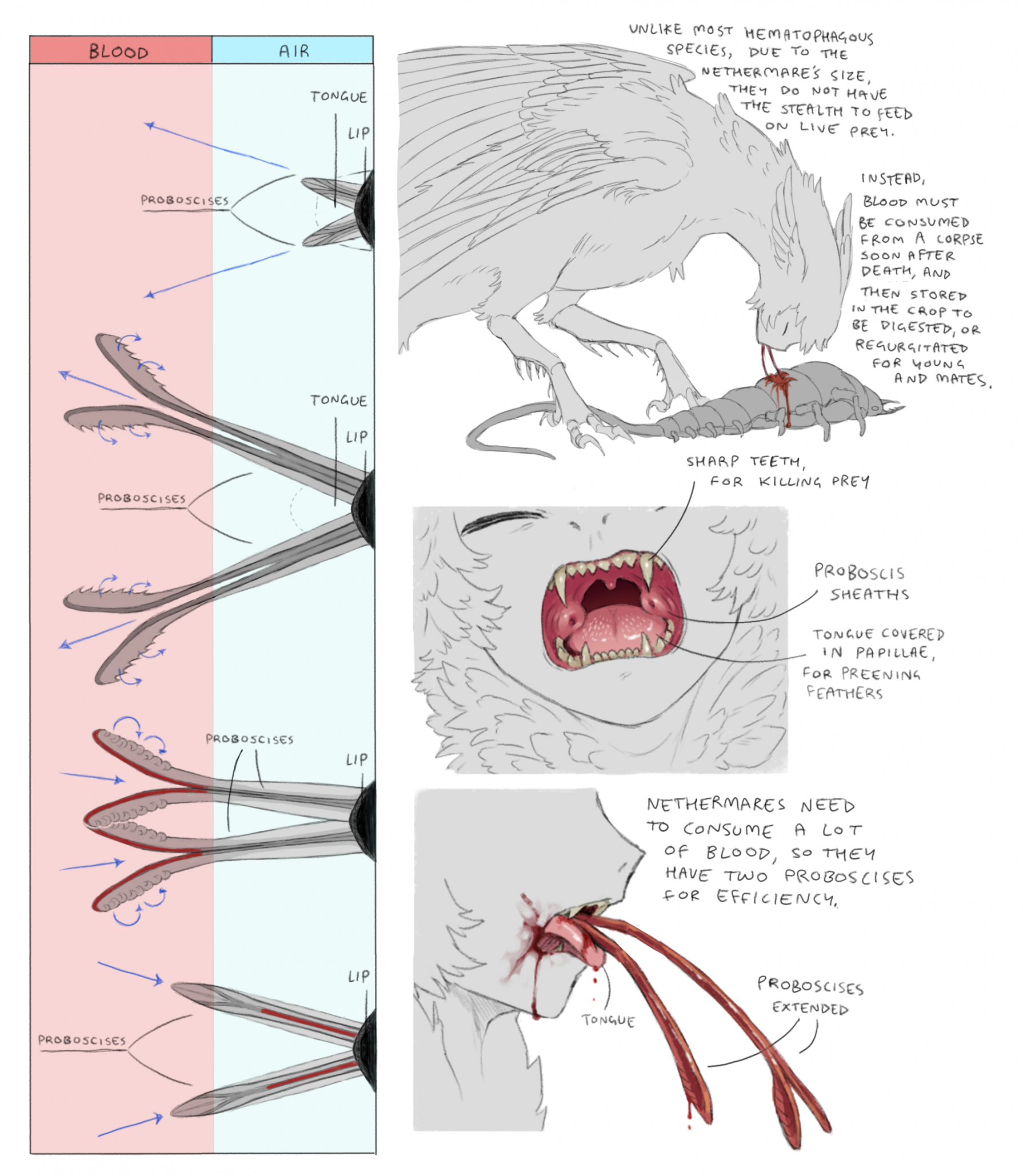 jejejunum, original, highres, anatomy, biology, blood, blood from mouth, bug, closed eyes, corpse, diagram, dragon, eating, harpy, information sheet, monster, monster girl, nethermare, proboscis, sharp teeth, teeth