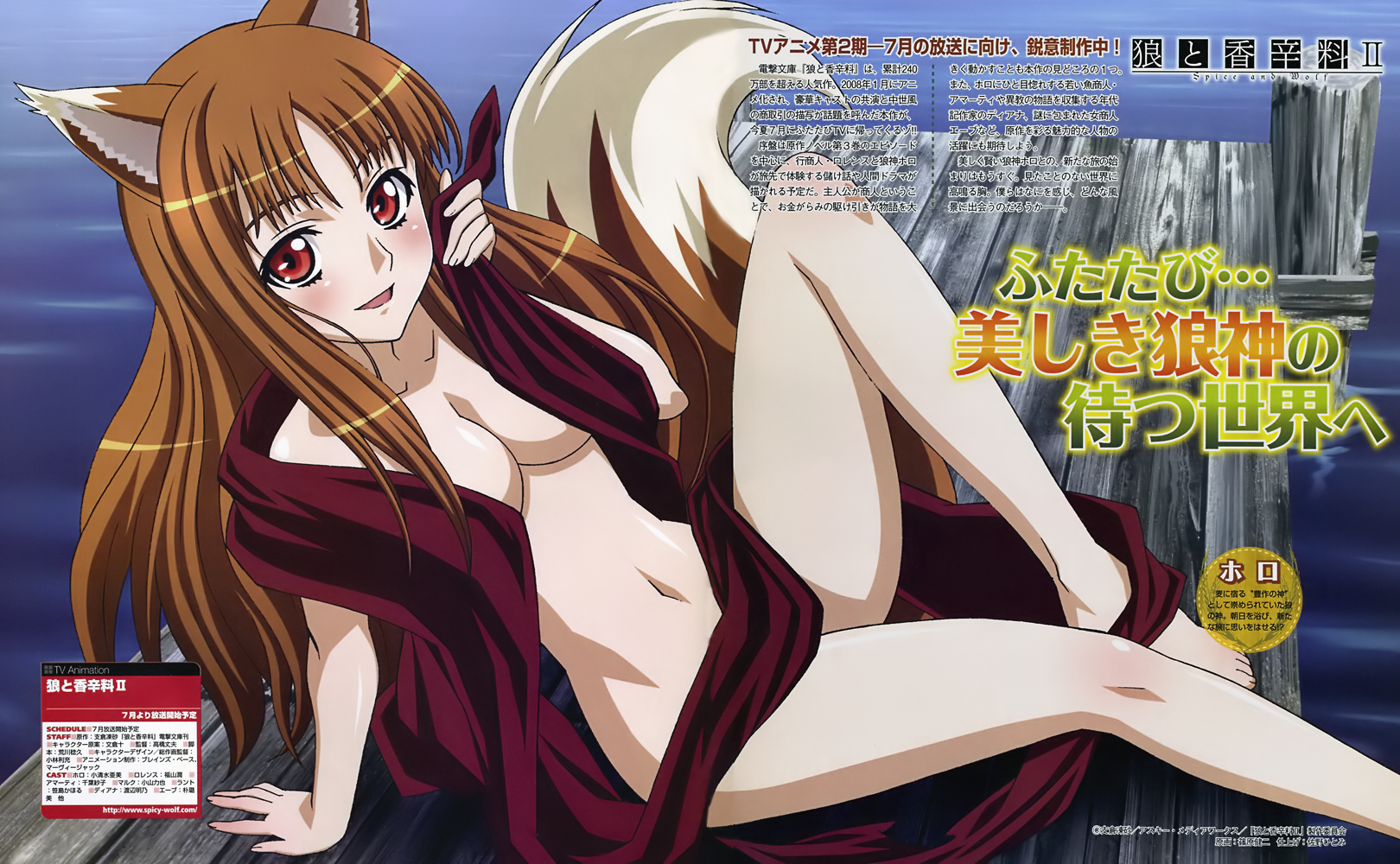 shinohara kenji, holo, spice and wolf, highres, 00s, animal ears, barefoot, blush, brown hair, long hair, red eyes, solo, tail, wolf ears, wolf tail