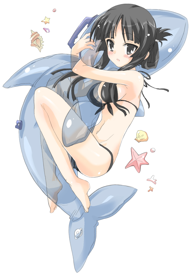 hizuki yayoi, akiyama mio, k-on!, bad id, bad pixiv id, 00s, 1girl, barefoot, bikini, black bikini, black eyes, black hair, blush, dolphin, female focus, hug, inflatable dolphin, inflatable raft, inflatable toy, long hair, navel, seashell, shell, simple background, solo, starfish, swimsuit, transparent, white background